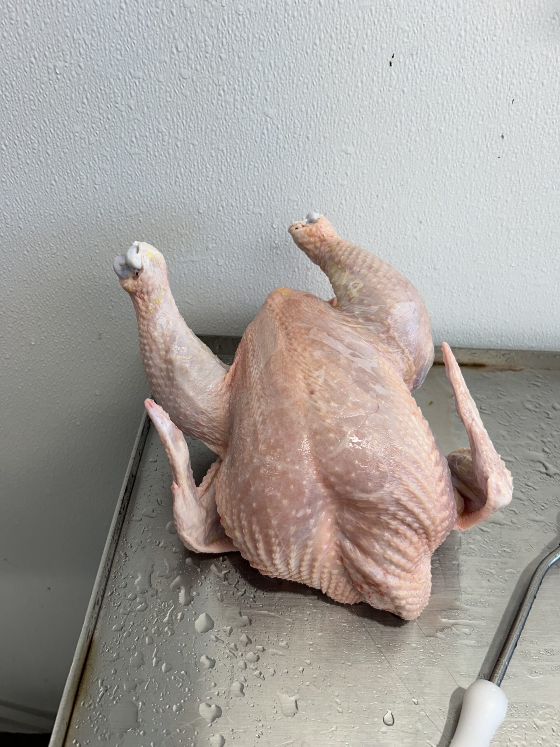 Raw whole chicken with visible skin texture placed on a stainless steel surface, featuring water droplets, ready for preparation or cooking.