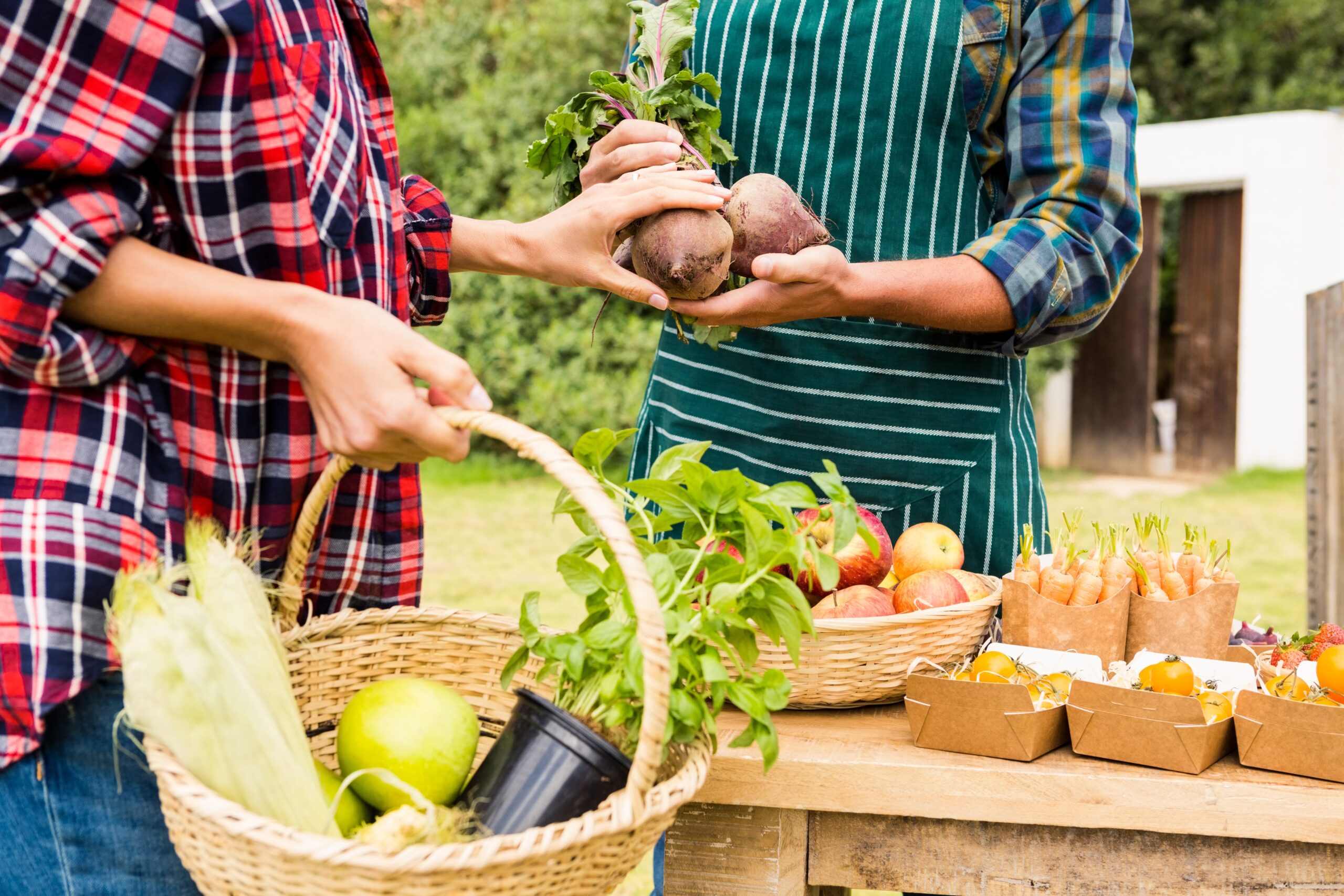 Farmers' market scene featuring two individuals exchanging fresh produce, including beets and herbs, while surrounded by baskets of apples, corn, and other vegetables. The setting emphasizes local, organic farming and community engagement.